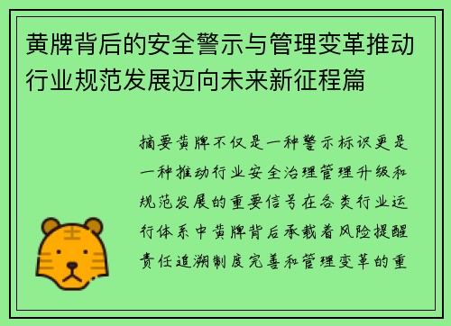 黄牌背后的安全警示与管理变革推动行业规范发展迈向未来新征程篇